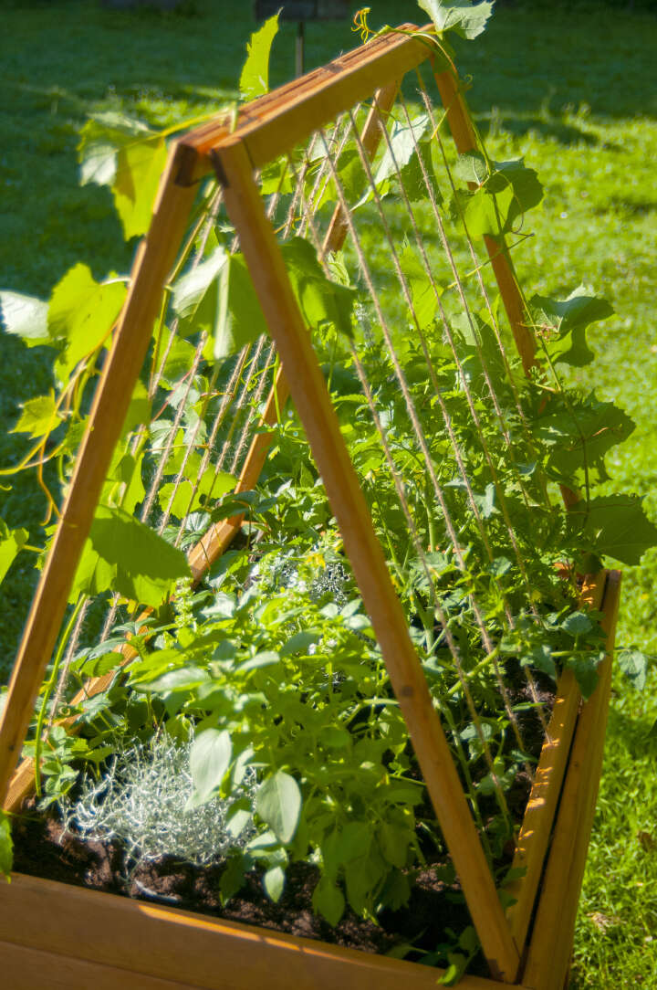 dobar Hochbeet Magic Kubus mit Rankgitter